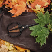 Walnut Handle Garden Scissors – view 6